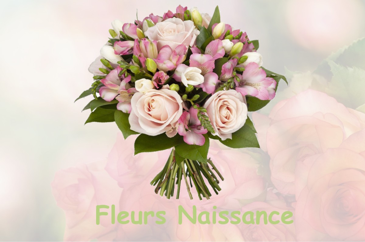 fleurs naissance BEINE-NAUROY